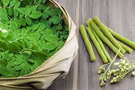 agro_moringa